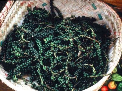 Pilipili-manga-iliyokaushwa