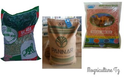 Mbegu-bora-za-mahindi