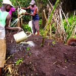 Kumwagilia mbolea vunde [mboji]