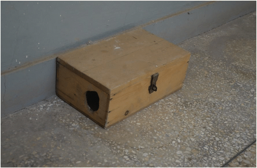 kituo cha panya local