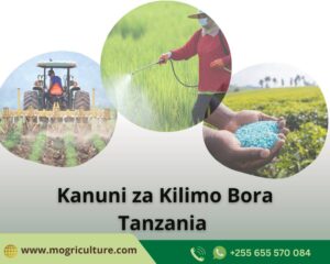 Kanuni za kilimo bora Tanzania