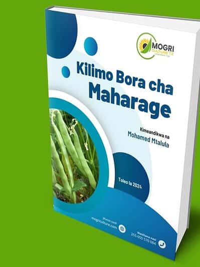 ebook-kilimo-bora-cha-maharage