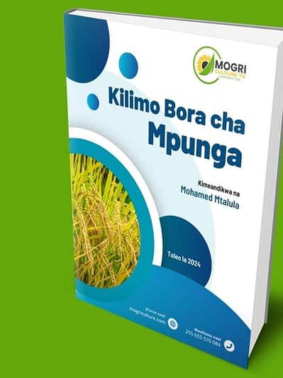 ebook-kilimo-bora-cha-mpunga