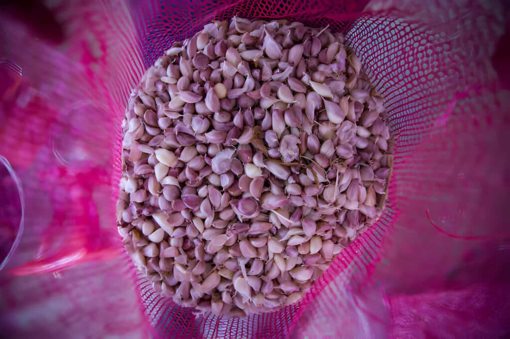 punje za vitunguu saumu baada ya kuvunja vunja matunguu